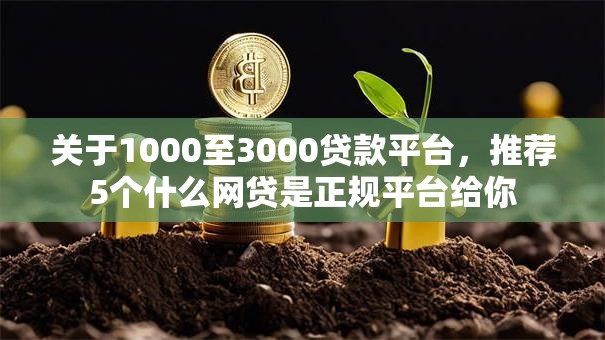 关于1000至3000贷款平台,推荐5个什么网贷是正规平台给你 关于1000至3000贷款平台,推荐5个什么网贷是正规平台给你