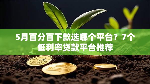 5月百分百下款选哪个平台？7个低利率贷款平台推荐