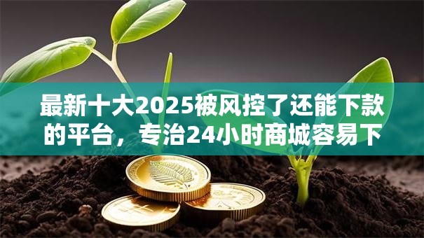 最新十大2025被风控了还能下款的平台，专治24小时商城容易下款吗