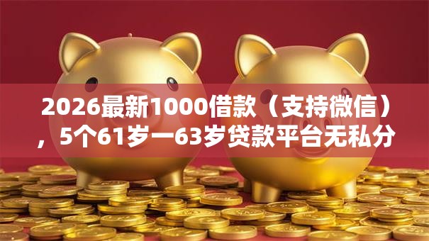 2026最新1000借款（支持微信），5个61岁一63岁贷款平台无私分享