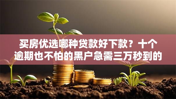 买房优选哪种贷款好下款?十个逾期也不怕的黑户急需三万秒到的的软件 买房优选哪种贷款好下款?十个逾期也不怕的黑户急需三万秒到的的软件