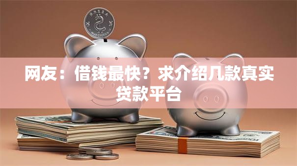 网友：借钱最快？求介绍几款真实贷款平台