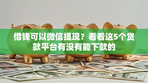 借钱可以微信提现？看看这5个贷款平台有没有能下款的