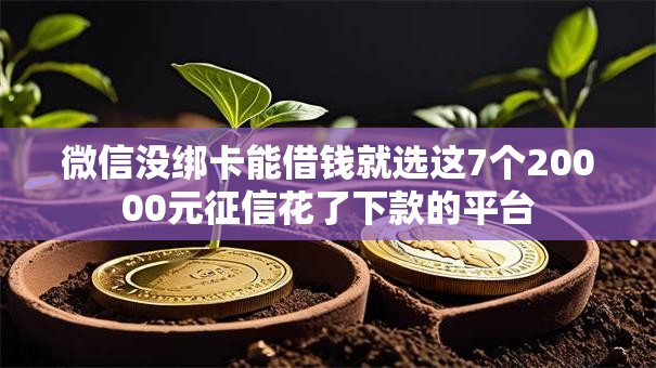 微信没绑卡能借钱就选这7个20000元征信花了下款的平台