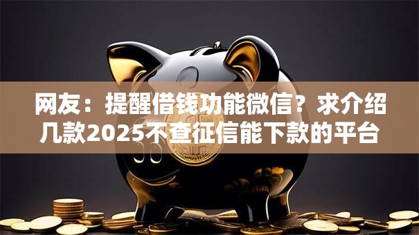 网友：提醒借钱功能微信？求介绍几款2025不查征信能下款的平台