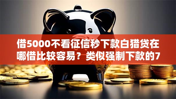 借5000不看征信秒下款白猎贷在哪借比较容易？类似强制下款的7个口子参考