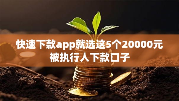 快速下款app就选这5个20000元被执行人下款口子