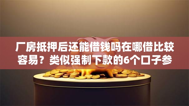 厂房抵押后还能借钱吗在哪借比较容易？类似强制下款的6个口子参考