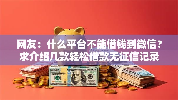 网友：什么平台不能借钱到微信？求介绍几款轻松借款无征信记录的口子