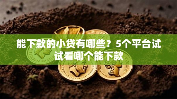 能下款的小贷有哪些？5个平台试试看哪个能下款