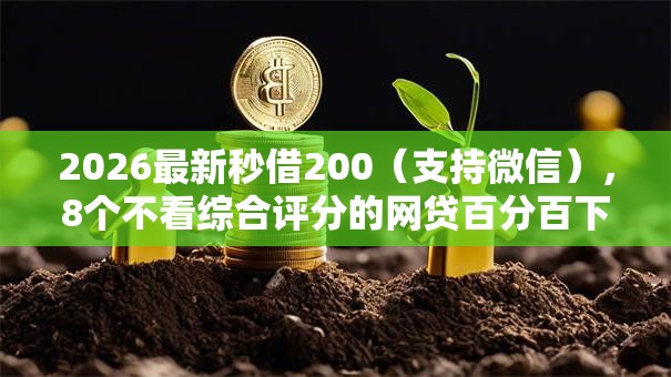 2026最新秒借200（支持微信），8个不看综合评分的网贷百分百下款口子无私分享