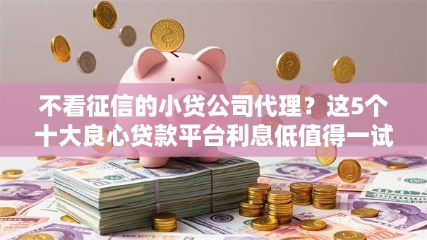 不看征信的小贷公司代理？这5个十大良心贷款平台利息低值得一试