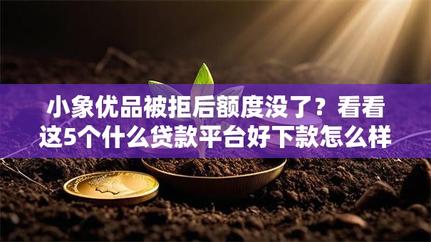 小象优品被拒后额度没了？看看这5个什么贷款平台好下款怎么样