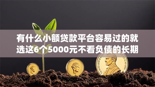 有什么小额贷款平台容易过的就选这6个5000元不看负债的长期网贷app