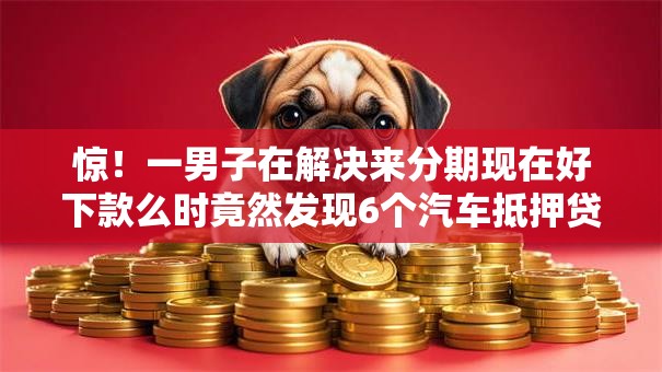 惊！一男子在解决来分期现在好下款么时竟然发现6个汽车抵押贷款平台，事后分享了出来