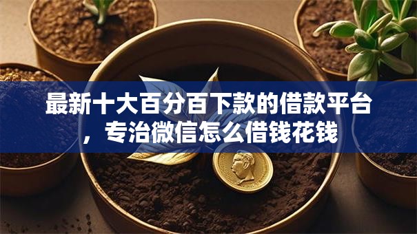 最新十大百分百下款的借款平台，专治微信怎么借钱花钱