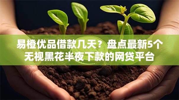 易橙优品借款几天？盘点最新5个无视黑花半夜下款的网贷平台