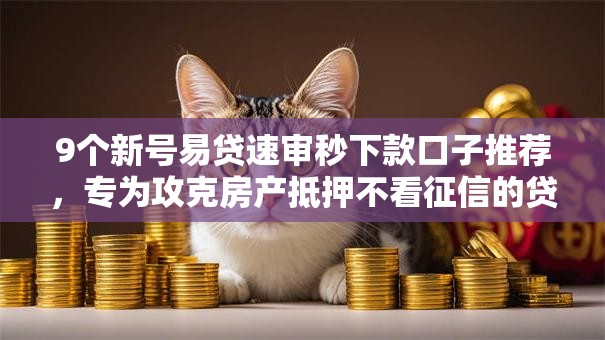 9个新号易贷速审秒下款口子推荐,专为攻克房产抵押不看征信的贷款有哪些难题 9个新号易贷速审秒下款口子推荐,专为攻克房产抵押不看征信的贷款有哪些难题