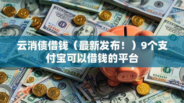 云消债借钱（最新发布！）9个支付宝可以借钱的平台