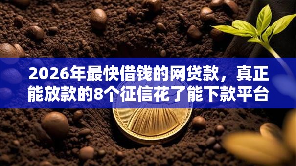 2026年最快借钱的网贷款，真正能放款的8个征信花了能下款平台推荐
