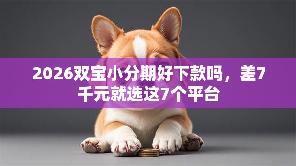 2026双宝小分期好下款吗,差7千元就选这7个平台 2026双宝小分期好下款吗,差7千元就选这7个平台