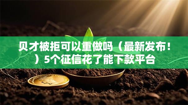 贝才被拒可以重做吗（最新发布！）5个征信花了能下款平台