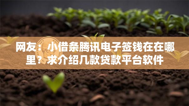 网友:小借条腾讯电子签钱在在哪里?求介绍几款贷款平台软件 网友:小借条腾讯电子签钱在在哪里?求介绍几款贷款平台软件