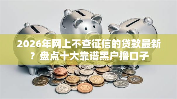 2026年网上不查征信的贷款最新？盘点十大靠谱黑户撸口子