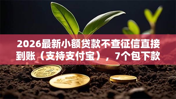 2026最新小额贷款不查征信直接到账（支持支付宝），7个包下款平台无视黑白无私分享