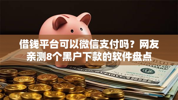 借钱平台可以微信支付吗?网友亲测8个黑户下款的软件盘点 借钱平台可以微信支付吗?网友亲测8个黑户下款的软件盘点