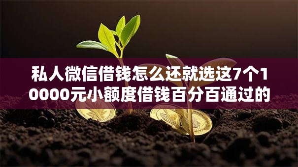 私人微信借钱怎么还就选这7个10000元小额度借钱百分百通过的平台