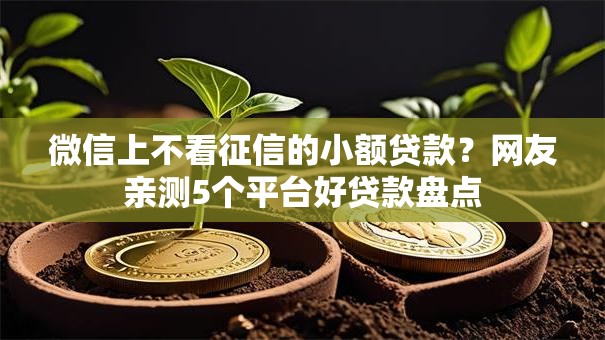 微信上不看征信的小额贷款？网友亲测5个平台好贷款盘点
