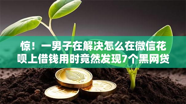 惊！一男子在解决怎么在微信花呗上借钱用时竟然发现7个黑网贷必下款口子，事后分享了出来
