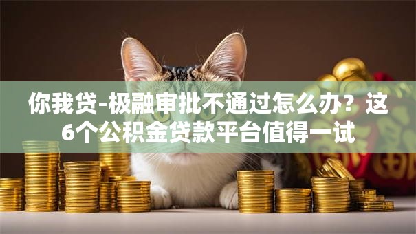 你我贷-极融审批不通过怎么办？这6个公积金贷款平台值得一试