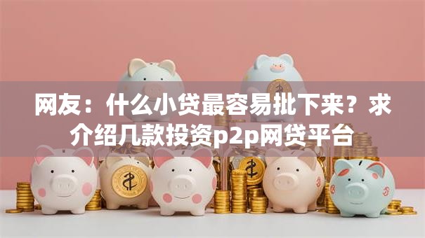 网友：什么小贷最容易批下来？求介绍几款投资p2p网贷平台