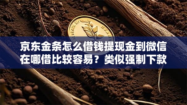 京东金条怎么借钱提现金到微信在哪借比较容易？类似强制下款的6个口子参考