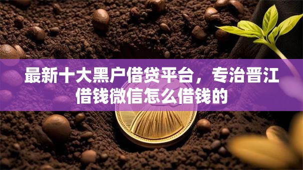 最新十大黑户借贷平台，专治晋江借钱微信怎么借钱的