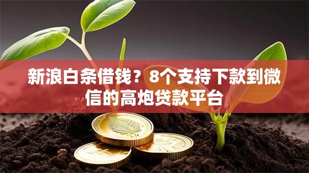 新浪白条借钱？8个支持下款到微信的高炮贷款平台