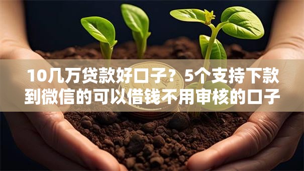 10几万贷款好口子？5个支持下款到微信的可以借钱不用审核的口子