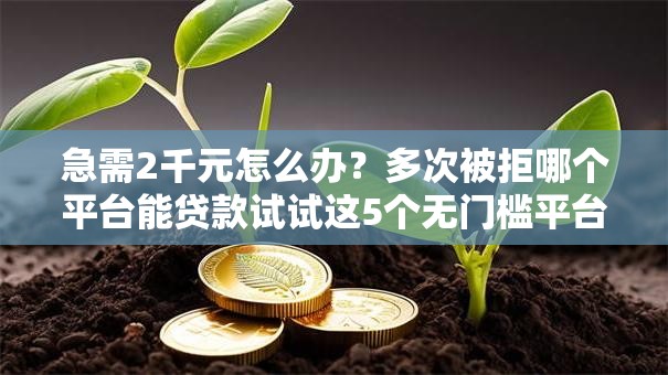 急需2千元怎么办?多次被拒哪个平台能贷款试试这5个无门槛平台 急需2千元怎么办?多次被拒哪个平台能贷款试试这5个无门槛平台