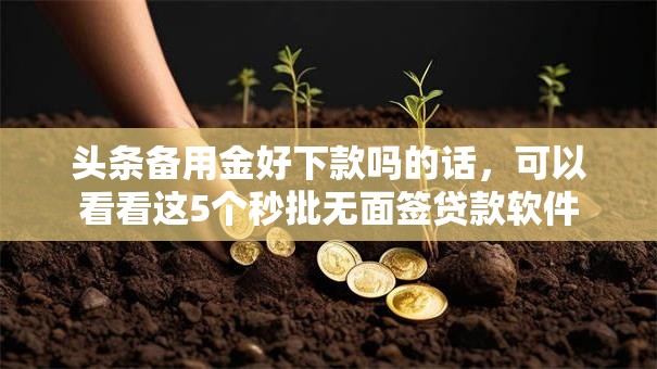 头条备用金好下款吗的话,可以看看这5个秒批无面签贷款软件 头条备用金好下款吗的话,可以看看这5个秒批无面签贷款软件