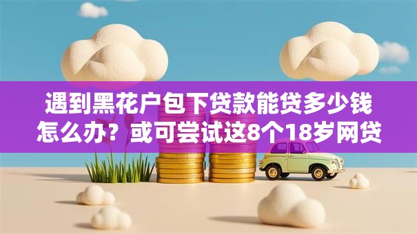 遇到黑花户包下贷款能贷多少钱怎么办？或可尝试这8个18岁网贷平台