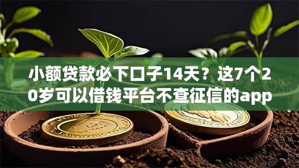 小额贷款必下口子14天？这7个20岁可以借钱平台不查征信的app值得一试