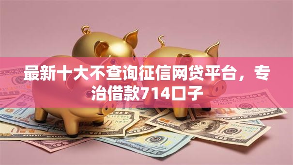 最新十大不查询征信网贷平台，专治借款714口子
