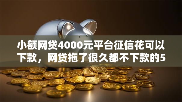 小额网贷4000元平台征信花可以下款，网贷拖了很久都不下款的5个平台介绍