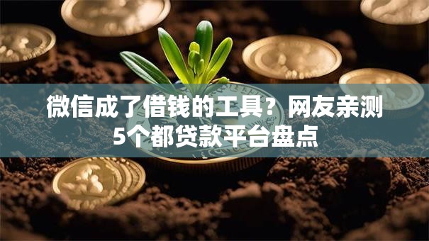 微信成了借钱的工具？网友亲测5个都贷款平台盘点