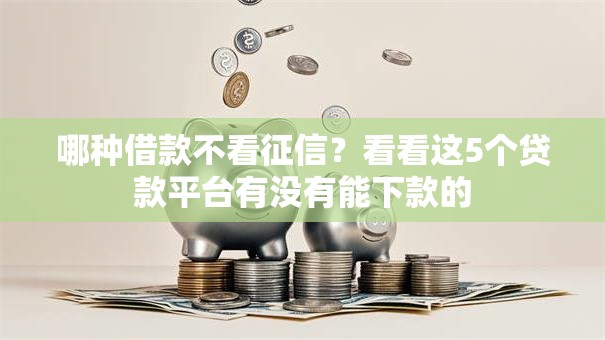 哪种借款不看征信？看看这5个贷款平台有没有能下款的