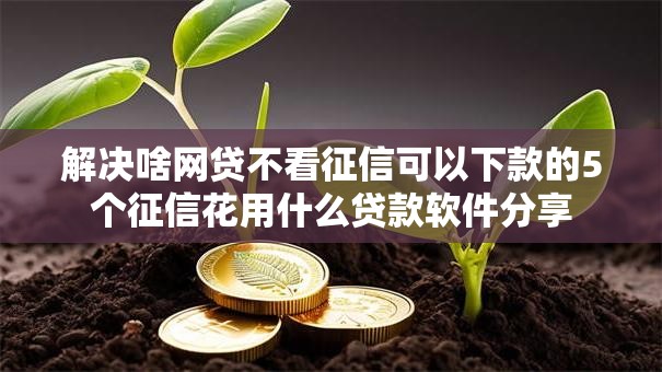 解决啥网贷不看征信可以下款的5个征信花用什么贷款软件分享