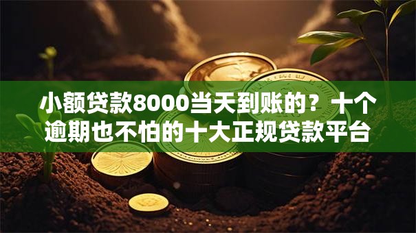 小额贷款8000当天到账的？十个逾期也不怕的十大正规贷款平台排名不分先后