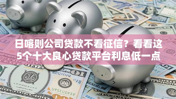 日喀则公司贷款不看征信？看看这5个十大良心贷款平台利息低一点怎么样